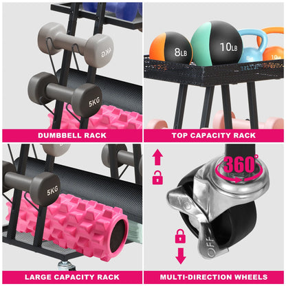 Gym Storage and Weight Rack