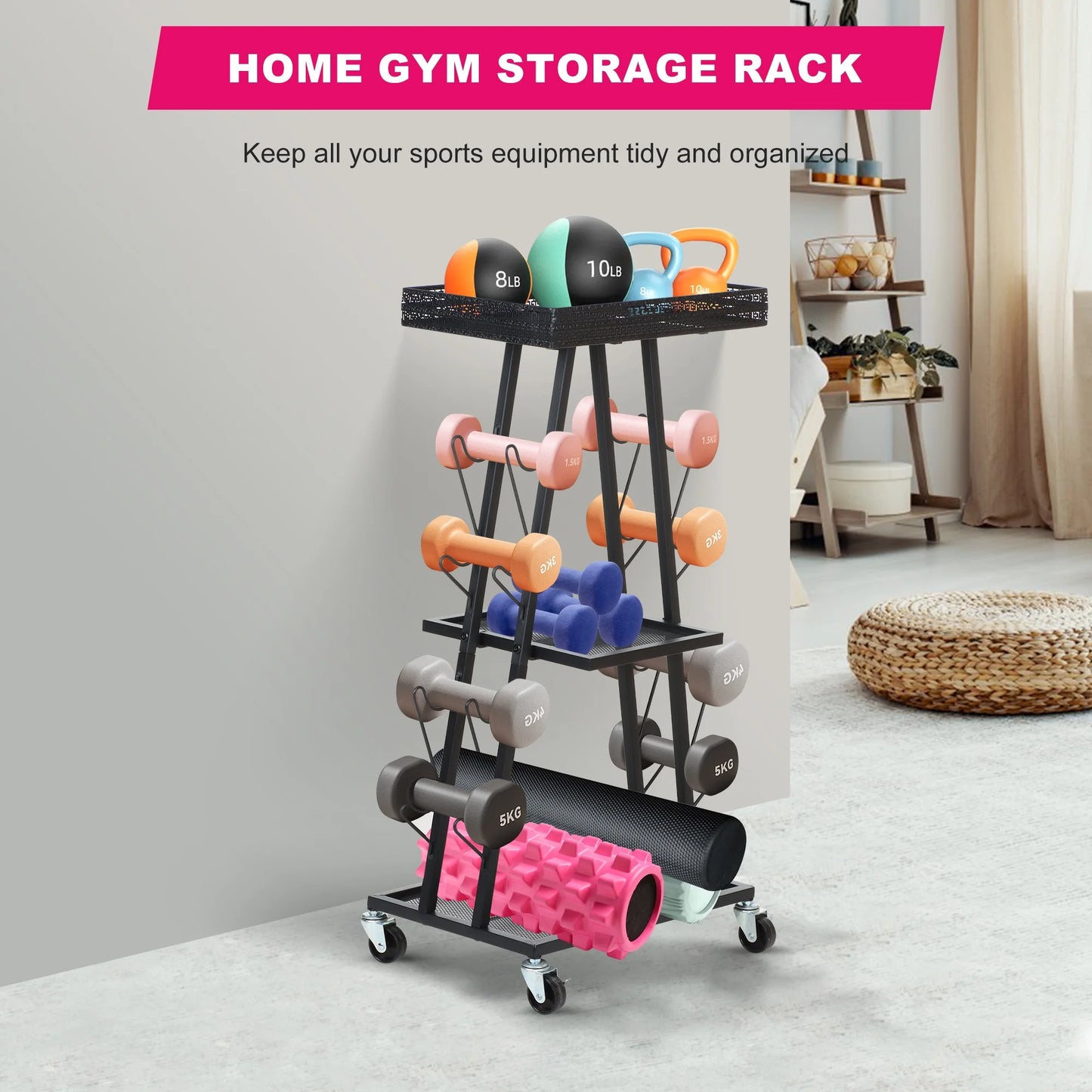 Gym Storage and Weight Rack